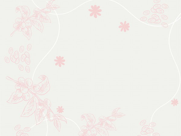 热血传奇白日门宝箱怪怎么找，热血传奇手游白日门宝箱怪在哪