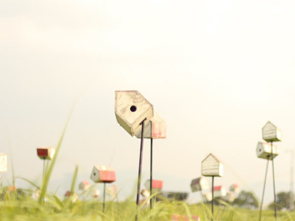 抖音直播游戏怎么同步，抖音游戏直播为啥一直加载中