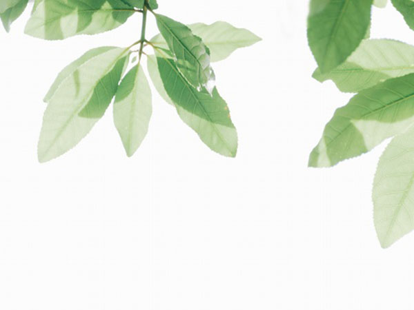 手游表情包在哪里下载，最新的游戏表情如何下载