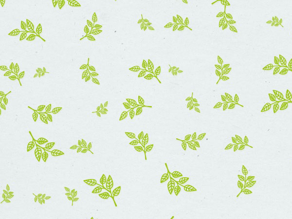 轮回战争,重生轮回：战争不止