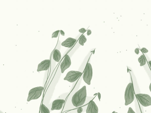 英雄传奇里的兑换码在哪弄，英雄传奇cdk在哪里兑换