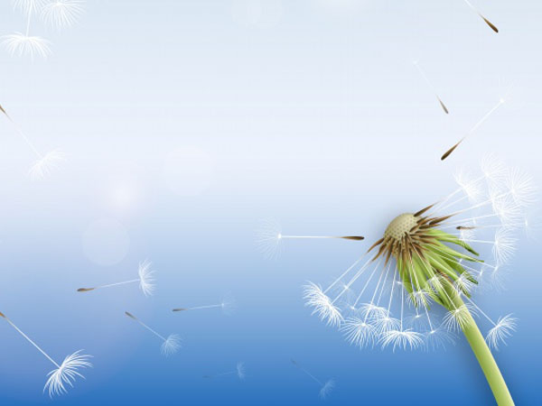 王者荣耀中红跟蓝，红buff和蓝buff王者荣耀多少秒