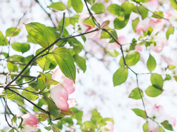 来点打游戏用英语怎么说，他在玩电脑游戏英文怎么说