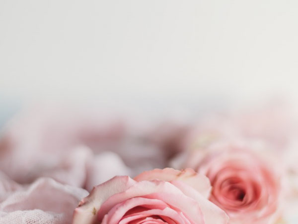 艺术家庄园,重塑庄园：探寻艺术家创作背后的故事