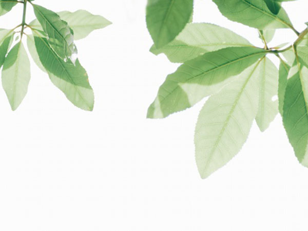 平板电脑怎么更新游戏，平板电脑怎么更新Flash