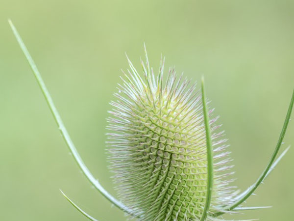 原神手游哪里可以下载，原神手游有脚本吗怎么下载