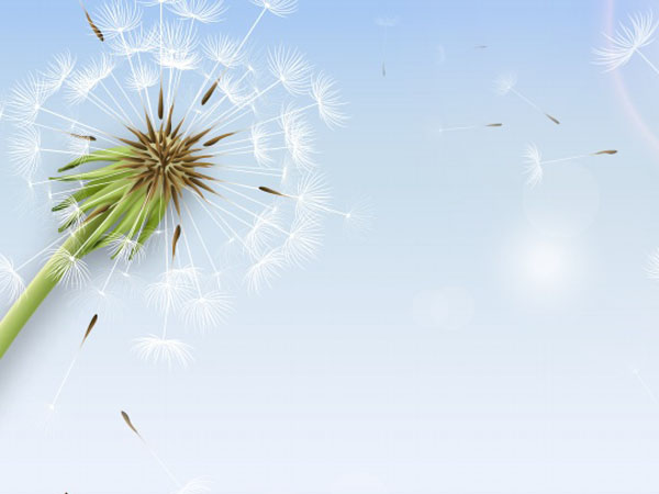 传奇 挂机版，热血传奇手机版在哪里挂机升级快 最佳挂机点推荐