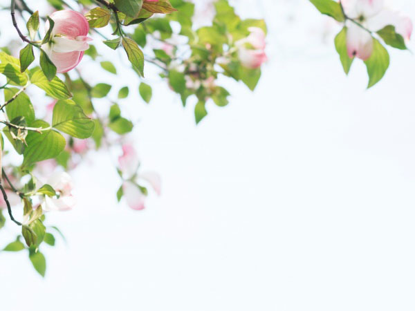 eset最新激活码，ESET最新24位激活码