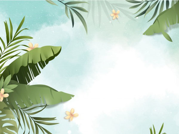 赛尔号任务攻略,赛尔号任务攻略指南