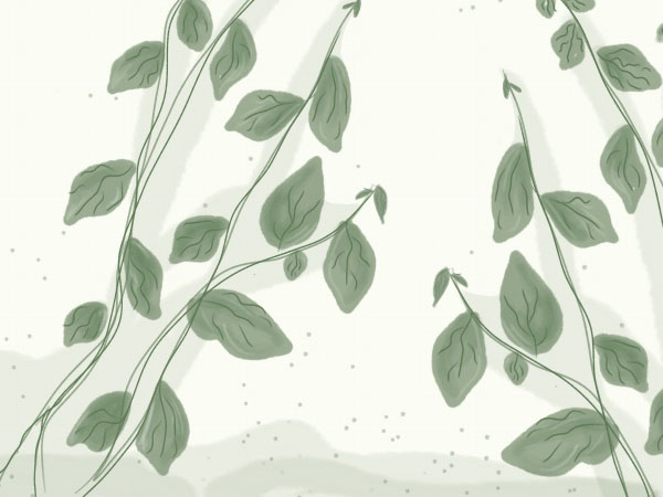 晚上睡不着推荐个网站,推荐一个助于入睡的网站