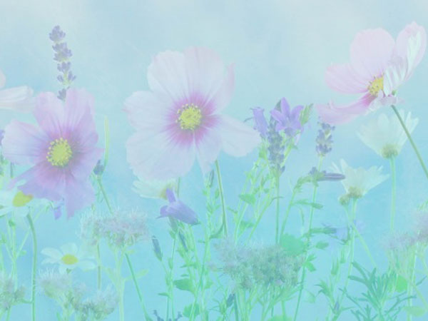 日本重口味电影图解,用图解带你领略日本特色电影