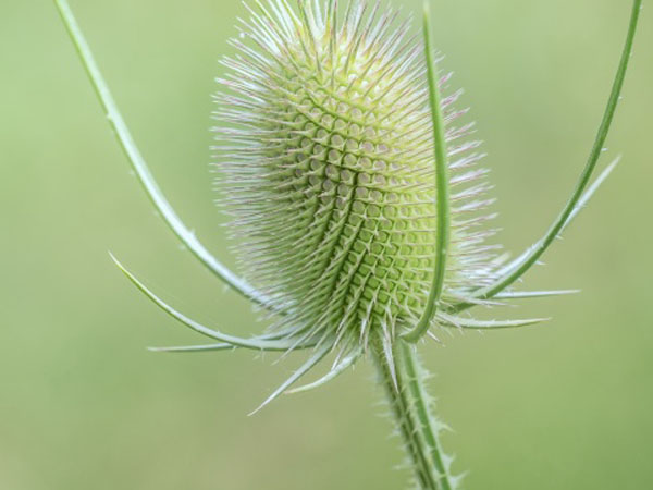 王者荣耀打字就掉线，腾讯游戏 为什么我一上游戏之后 按键打字的时候就马上掉线了