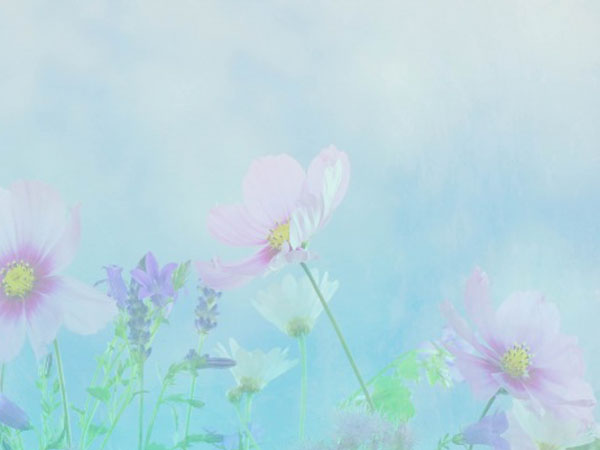 re王者荣耀开60，王者荣耀怎么开60帧数不封号