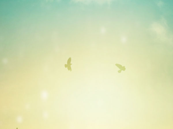 摩托功勋创造者游戏实力非凡[无下载]摩托网络游戏排行前八强