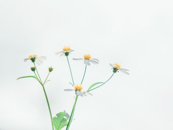 怎么代理ip玩游戏，如何使用代理IP玩网络游戏高手进